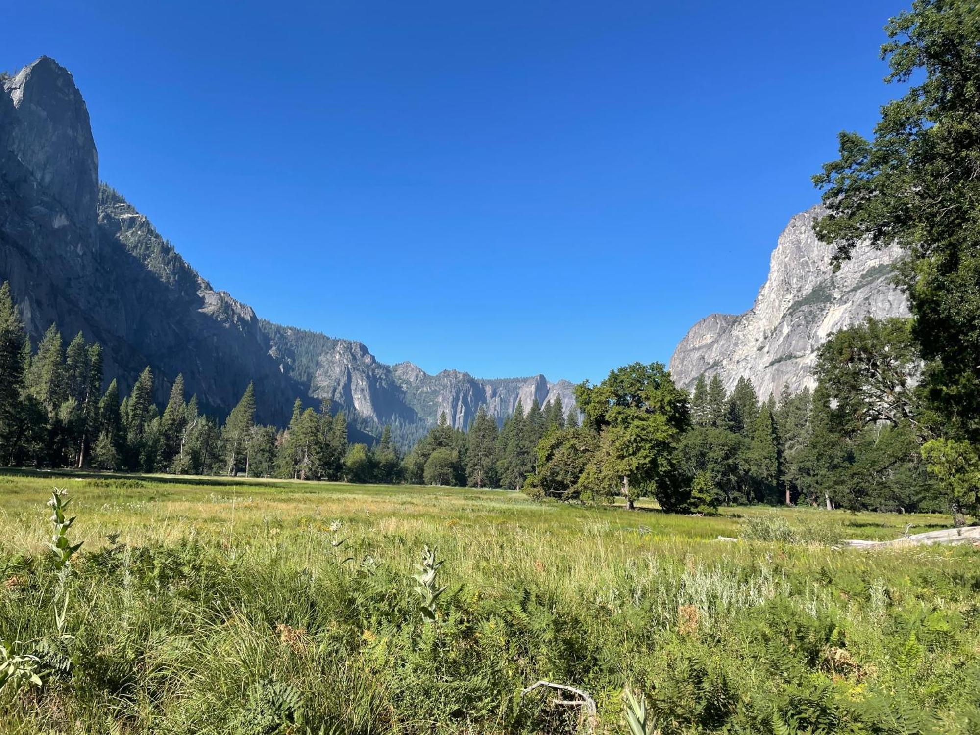 Stewart Chalet @ Yosemite/บาสเลค ภายนอก รูปภาพ